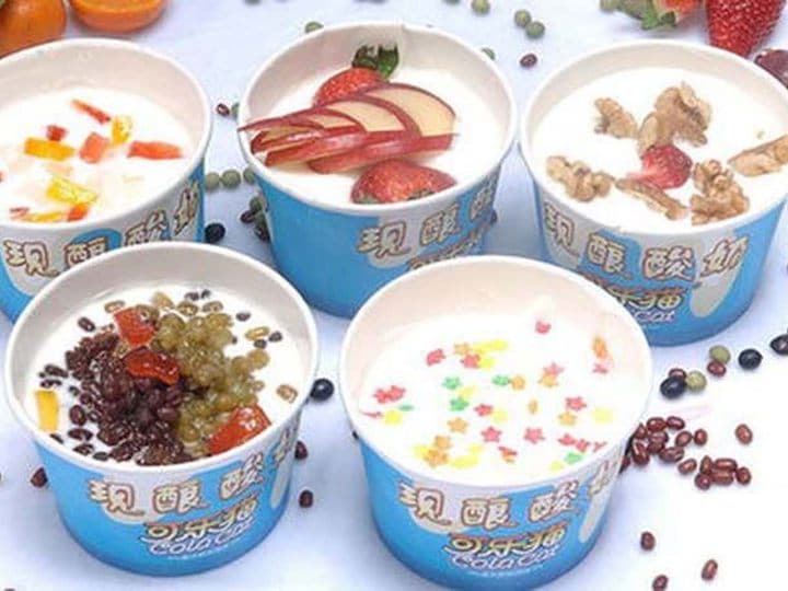 What are the common lactic acid bacteria starter for making yogur101t?
